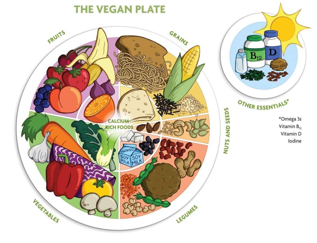 Illustration of The Vegan Plate, expertly crafted by a dietitian, divided into sections: fruits, grains, vegetables, nuts and seeds, legumes, and calcium-rich foods. This plant-based guide includes supplements like Omega 3s, Vitamin B12, Vitamin D, and Iodine.
