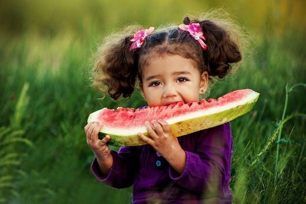 A young girl with curly hair tied in pigtails adorned with pink bows enjoys eating a large slice of watermelon. Embracing her vegetarian side, she wears a purple top and is surrounded by lush green grass, smiling as she bites into the juicy fruit.