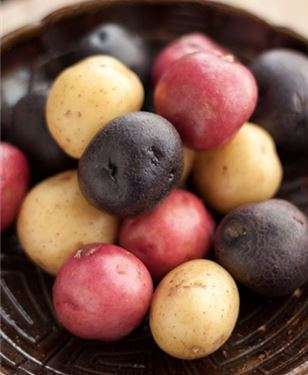 A bowl containing a variety of colorful potatoes—red, purple, and light brown—perfect for a plant-based diet is artfully displayed on a dark textured surface.