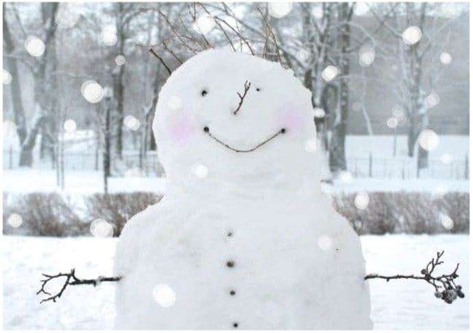 A smiling snowman with twig arms and a dotted line for a mouth stands proudly in the snowy landscape. Snow gently falls around it, and bushes and bare trees are visible in the background, creating a serene, plant-based winter wonderland.
