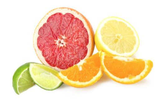 Slices of various citrus fruits are arranged against a white background. From left to right: lime, grapefruit, lemon, and orange. The grapefruit is shown as a halved segment while the others are in wedges—perfect for a colorful plant-based dietitians display.