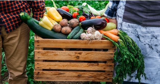 Two people holding a wooden crate filled with fresh, plant-based vegetables, including bell peppers, potatoes, carrots, cucumbers, tomatoes, eggplants, and garlic. The background shows lush green foliage.