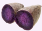 Stokes Purple sweet potato